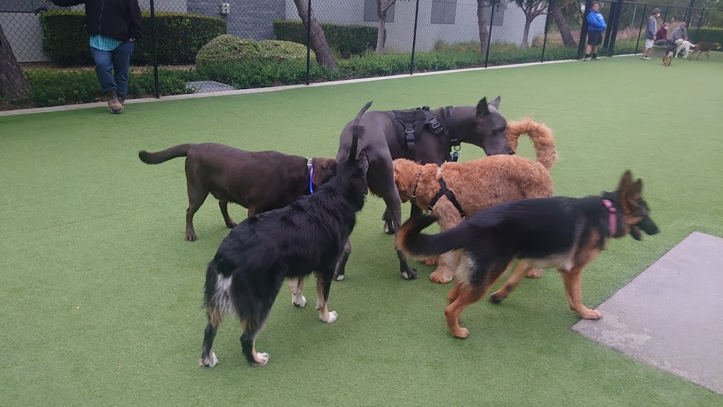 Barker Ranch Dog Park | 25650 Baffin Bay Dr, Lake Forest, CA 92630, USA | Phone: (949) 461-3452