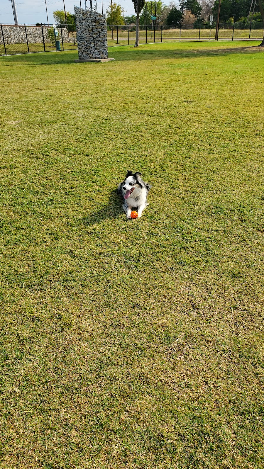 Garland Dog Park | 901 S Glenbrook Dr, Garland, TX 75040, USA | Phone: (972) 205-2750