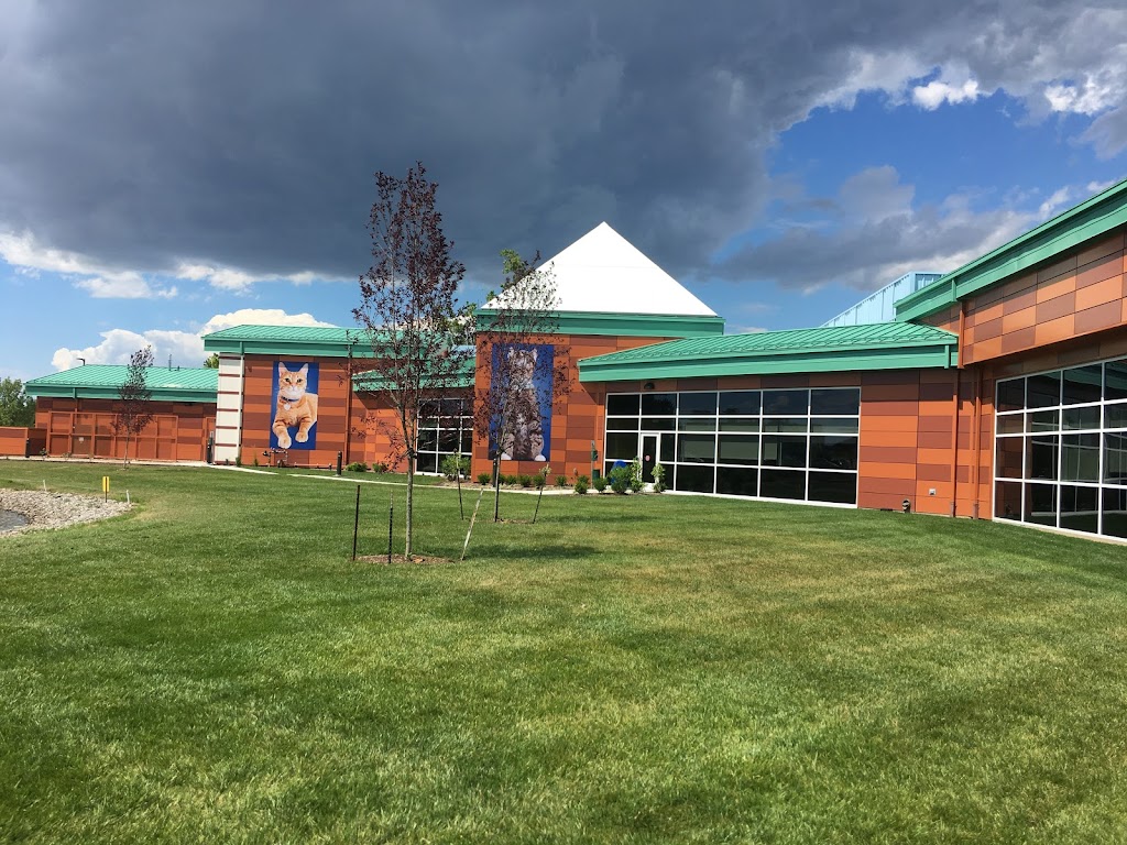 MAYS MAUNE MCWARD, INC. | 540 Axminister Dr, Fenton, MO 63026, USA | Phone: (636) 349-1645