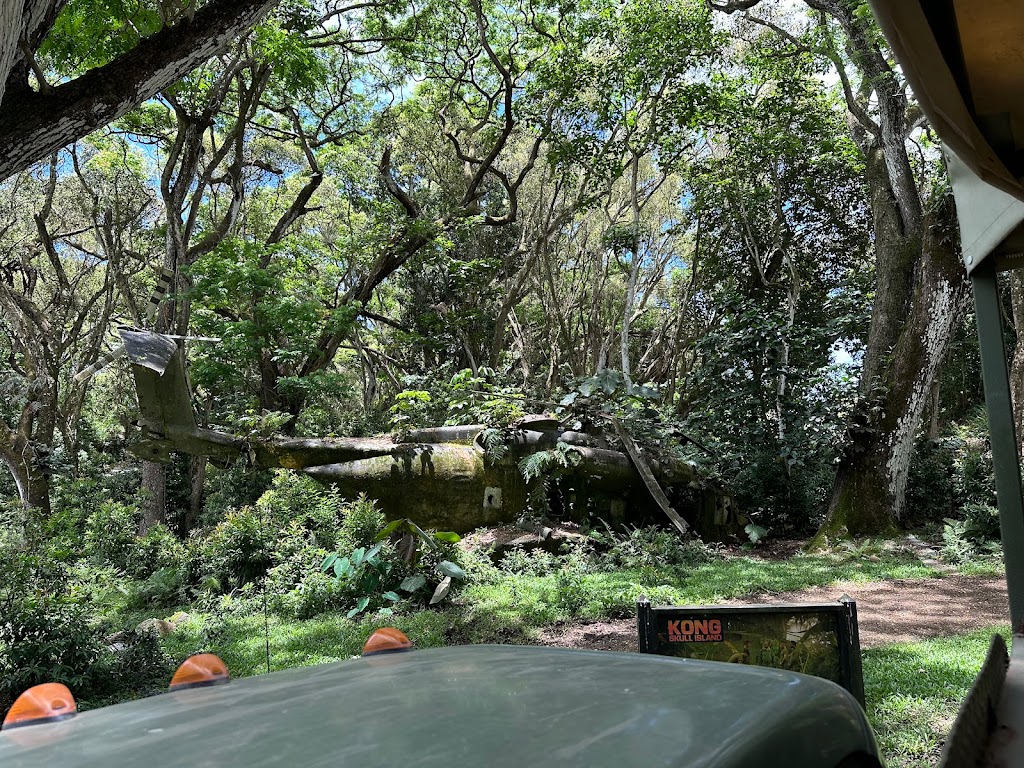 Puu Manamana Hike | Koolauloa, Kaneohe, HI 96744, USA | Phone: (651) 334-0507