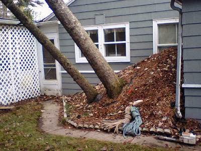 Arrow Tree & Stump Removal | 389 Devonshire Rd, Ypsilanti, MI 48198, USA | Phone: (734) 662-2655