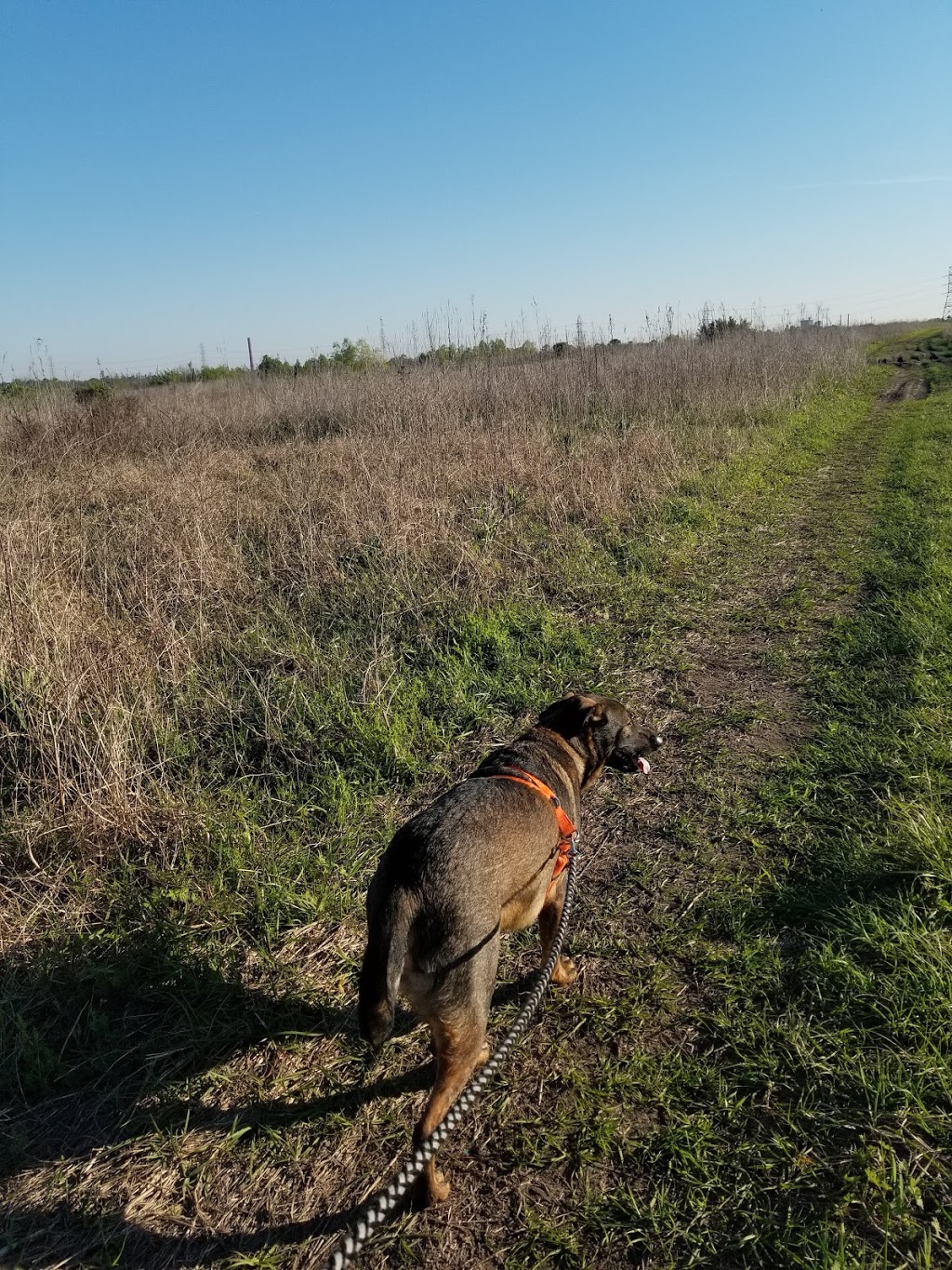 Sankofa Wetland Park and Nature Trail | 6401 Florida Ave, New Orleans, LA 70117, USA | Phone: (504) 872-9214