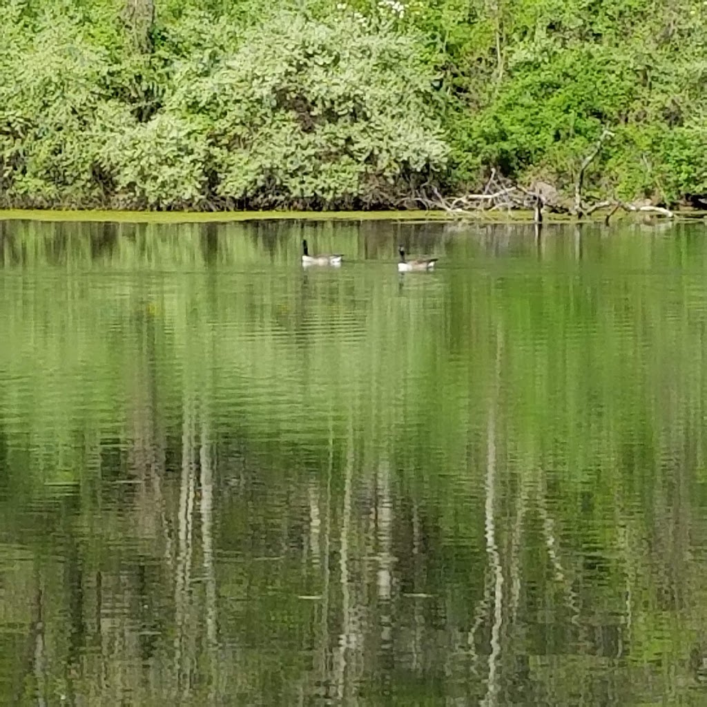 Bear Rock Lakes Wildlife Management Area | Valley Grove, WV 26060, USA | Phone: (304) 825-6787