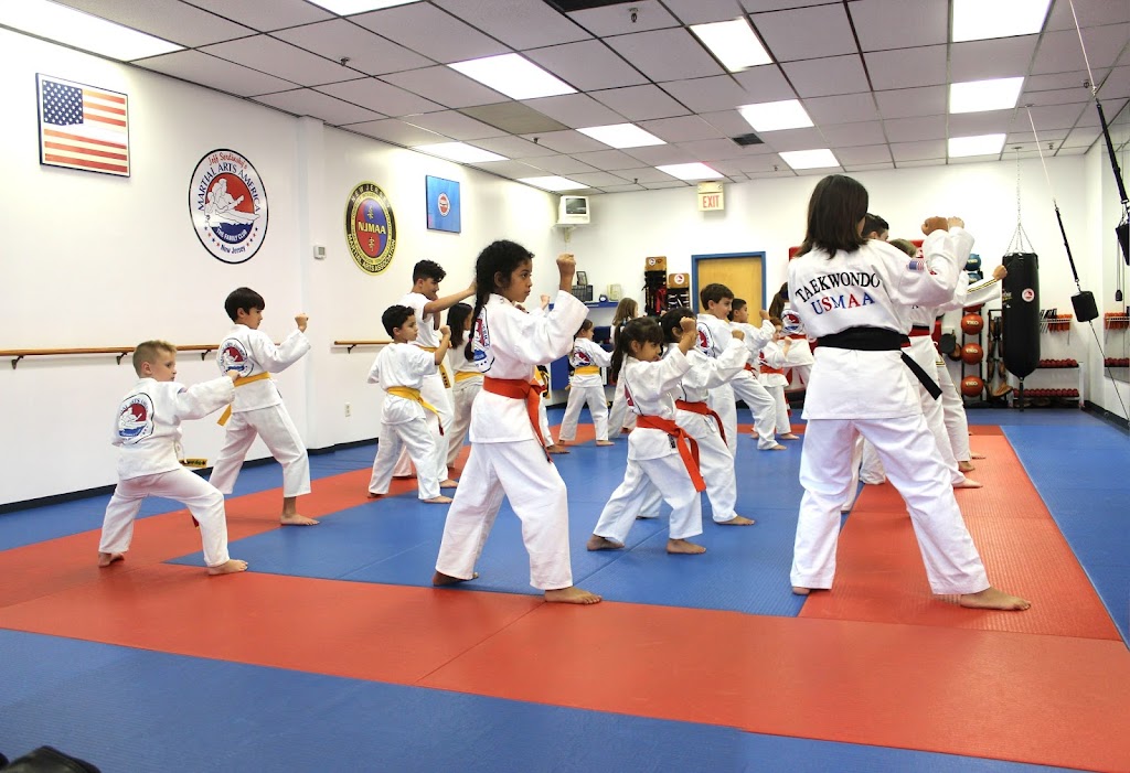 Martial Arts America | 1391 Martine Ave, Scotch Plains, NJ 07076, USA | Phone: (908) 317-5425