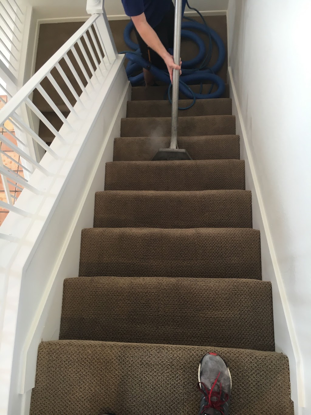 Knockout Carpet Cleaning | 3640 Pio Pico Dr, Carlsbad, CA 92008, USA | Phone: (760) 402-2077