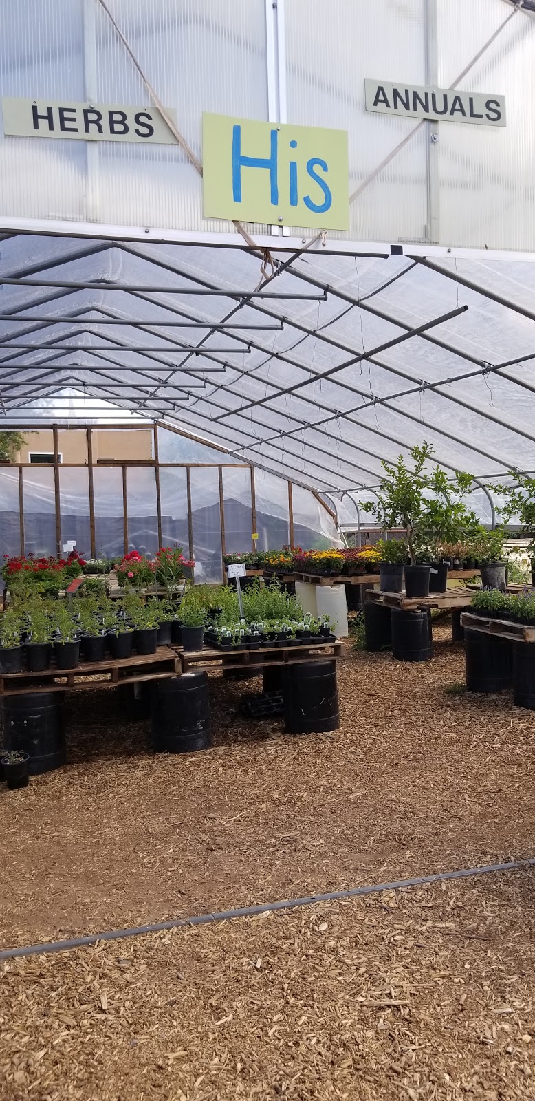 Albuquerque Water Gardens & Nursery | 1800 Candelaria Rd NW, Albuquerque, NM 87107, USA | Phone: (505) 246-8278