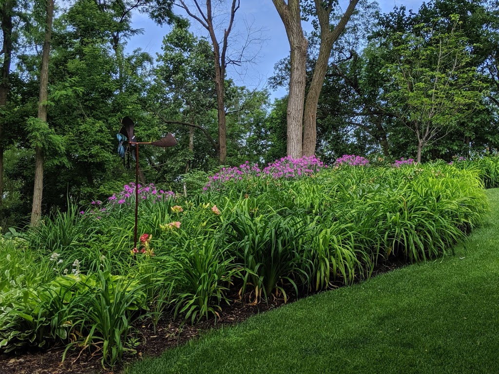 Hostas on the Bluff | 1601 Pleasantview Dr, Fairview Heights, IL 62208, USA | Phone: (618) 830-5929