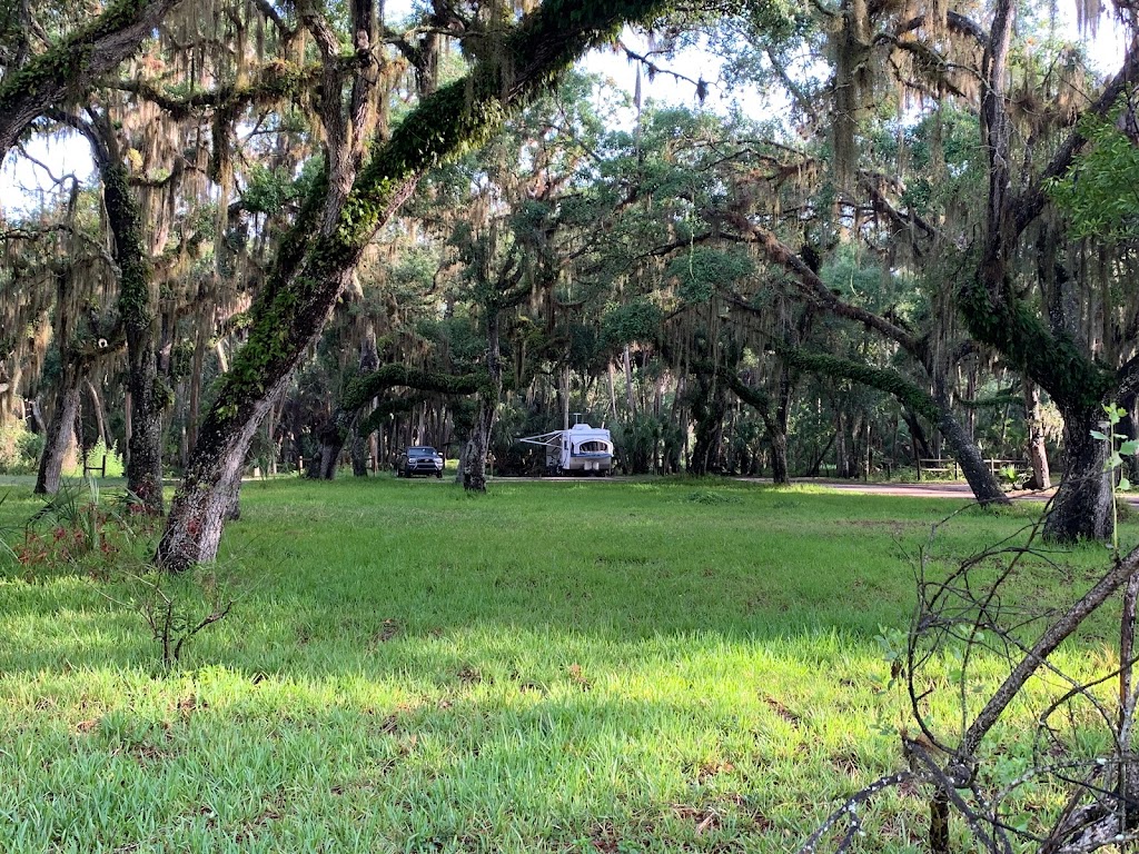 Myakka River State Park Big Flats Campground | Myakka State Park Rd, Sarasota, FL 34240, USA | Phone: (941) 361-6511