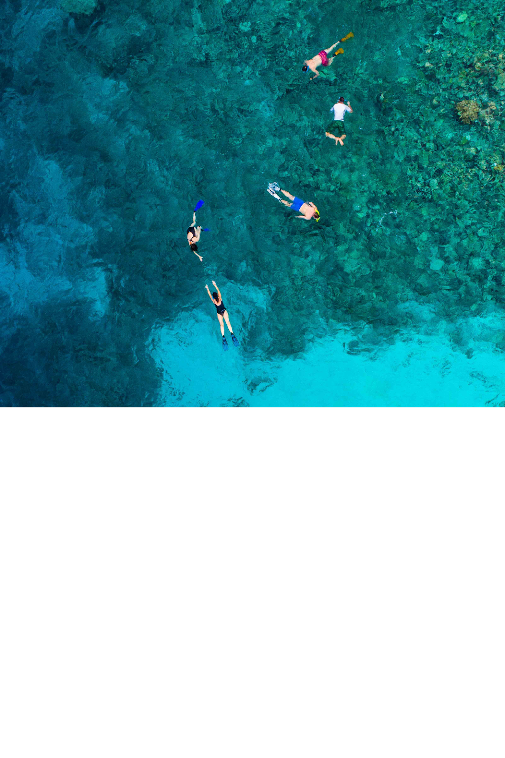 Snorkel Cali | 1 Banning House Rd, Avalon, CA 90704, USA | Phone: (949) 342-4099