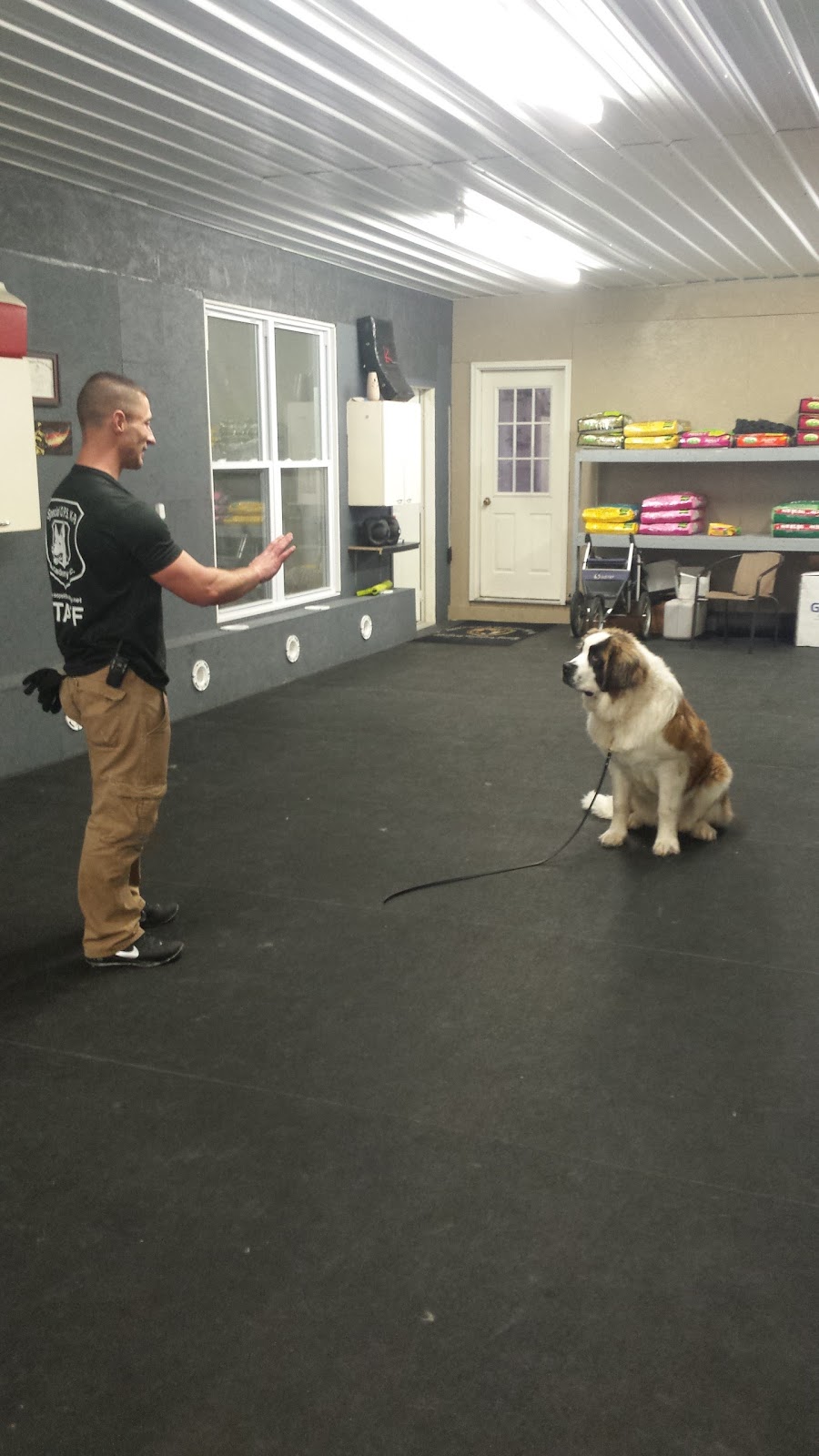 Special O.P.S. K-9 Academy Inc. | 7534 IN-13, North Webster, IN 46555, USA | Phone: (574) 834-2250