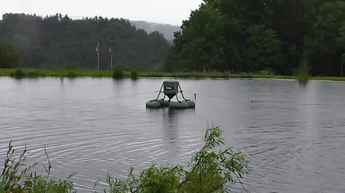 Hicklings Fish Farm Inc | 143 Hickling Rd, Edmeston, NY 13335, USA | Phone: (607) 965-8488