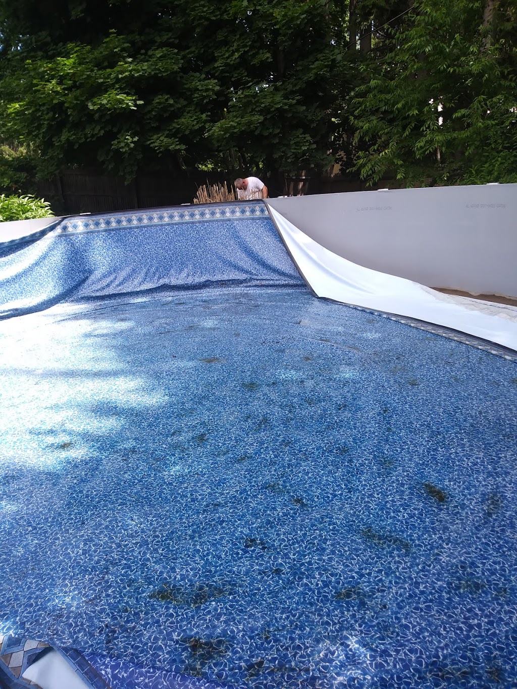 Loudon Ridge Farm | 336 Loudon Rd, Albany, NY 12211, USA | Phone: (518) 766-0407