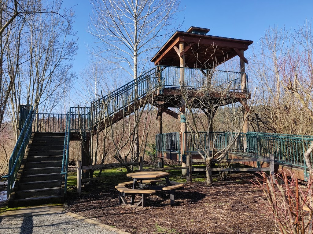 Auburn Environmental Park | 413 Western St NW, Auburn, WA 98001 | Phone: (253) 931-3043