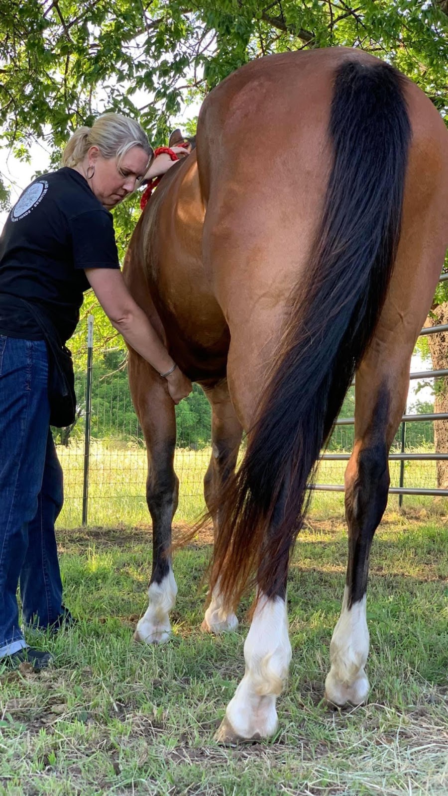 Sandbox Equine and Athlete | 176 Sandy Creek Trail, Weatherford, TX 76085, USA | Phone: (817) 597-8930