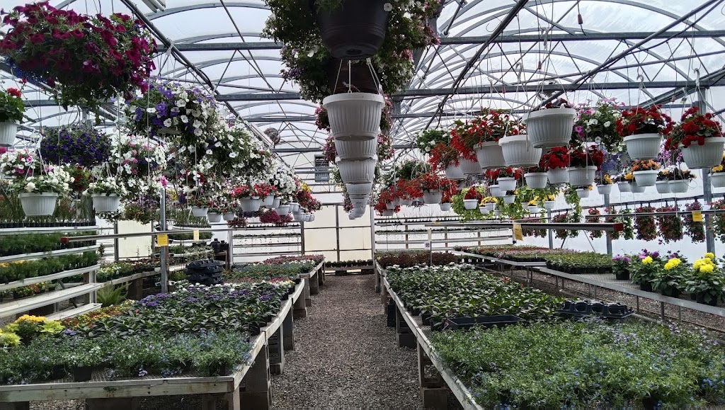 Country Meadows Garden Center | 11148 Chardon Rd, Chardon, OH 44024, USA | Phone: (440) 285-0955