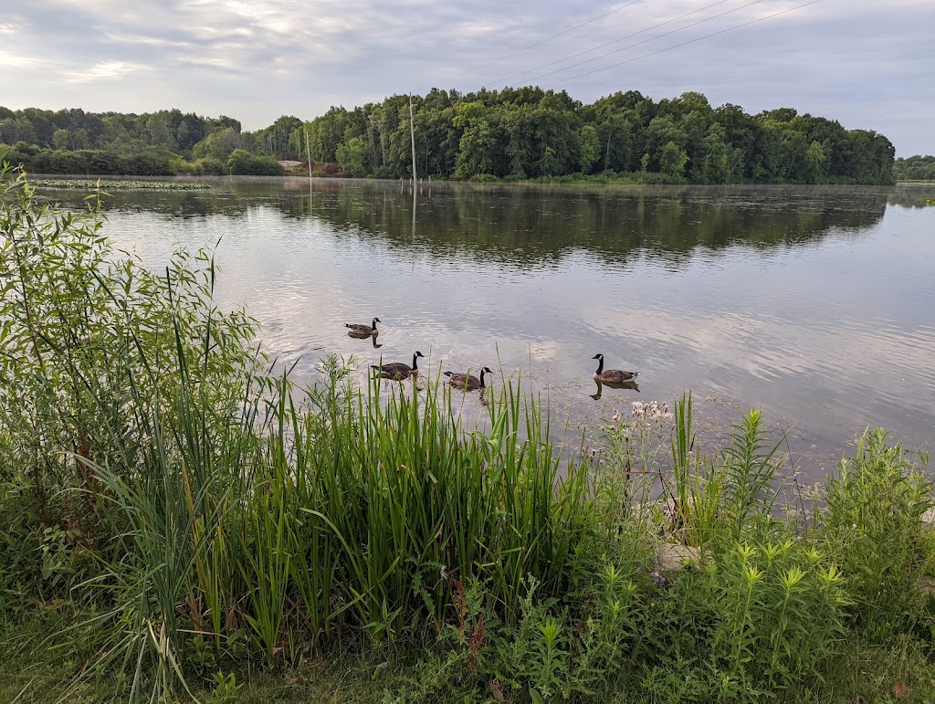 Aurora Sunny Lake Park | 885 E Mennonite Rd, Aurora, OH 44202, USA | Phone: (330) 562-6910 Aurora Sunny Lake Park | 885 E Mennonite Rd, Aurora, OH 44202, USA | Phone: (330) 562-6910