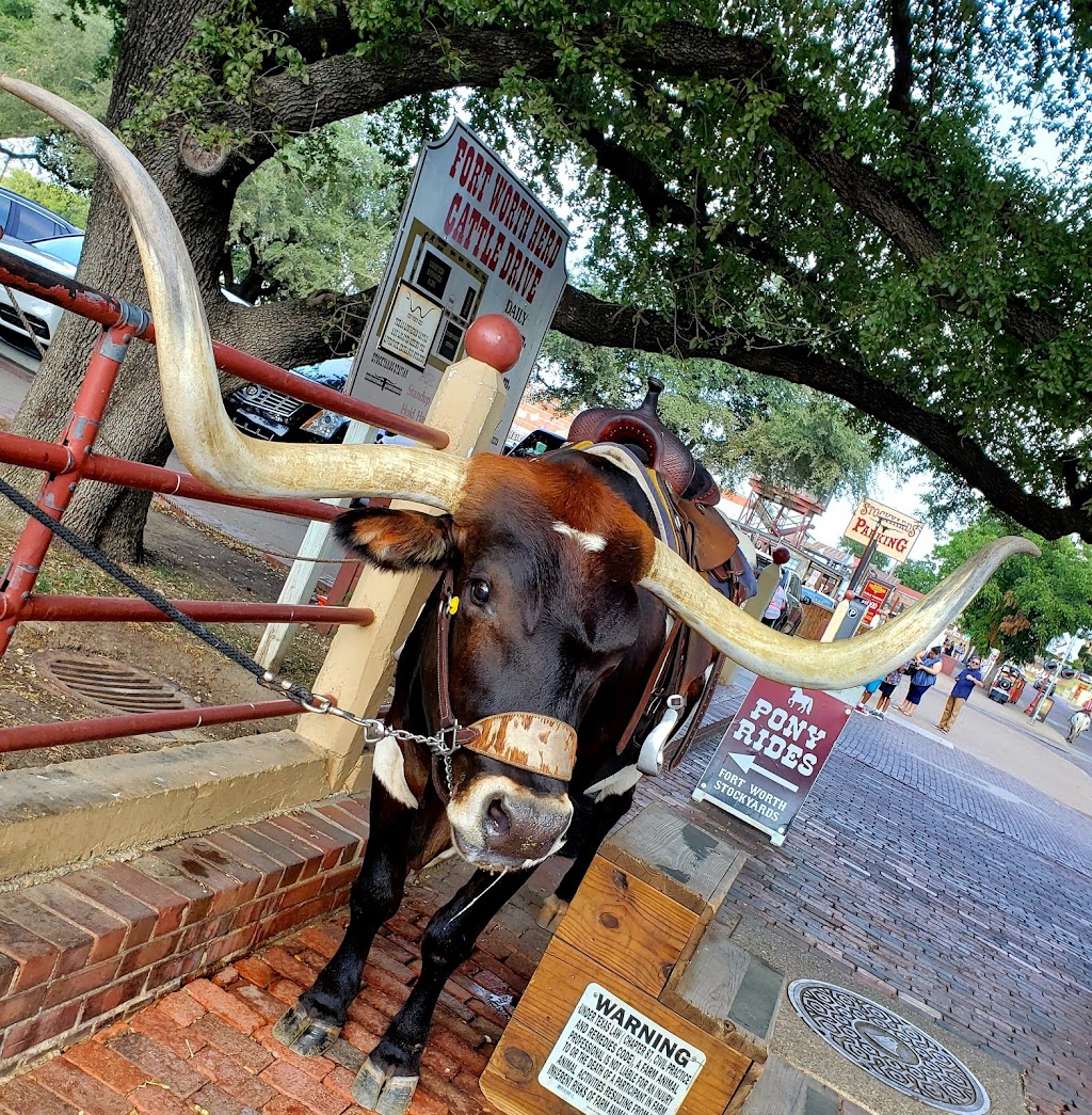 Texas Cowboy Hall of Fame | 2515 Rodeo Plaza, Fort Worth, TX 76164, USA | Phone: (817) 626-7131