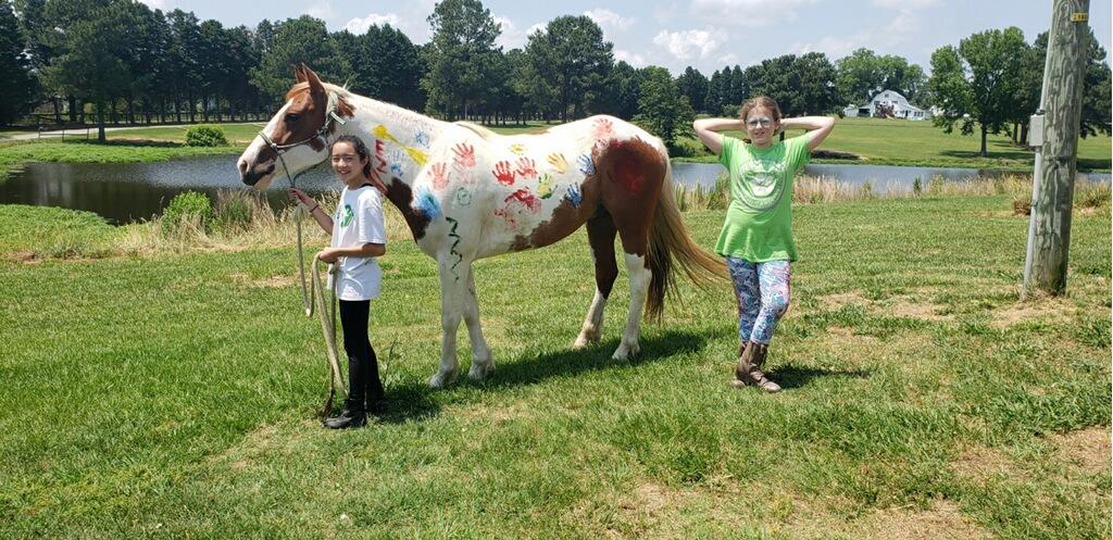 Grace Lee Farm Horse Riding Academy and Day Camp Apex | 2437 Olive Chapel Rd, Apex, NC 27502, USA | Phone: (919) 413-5170