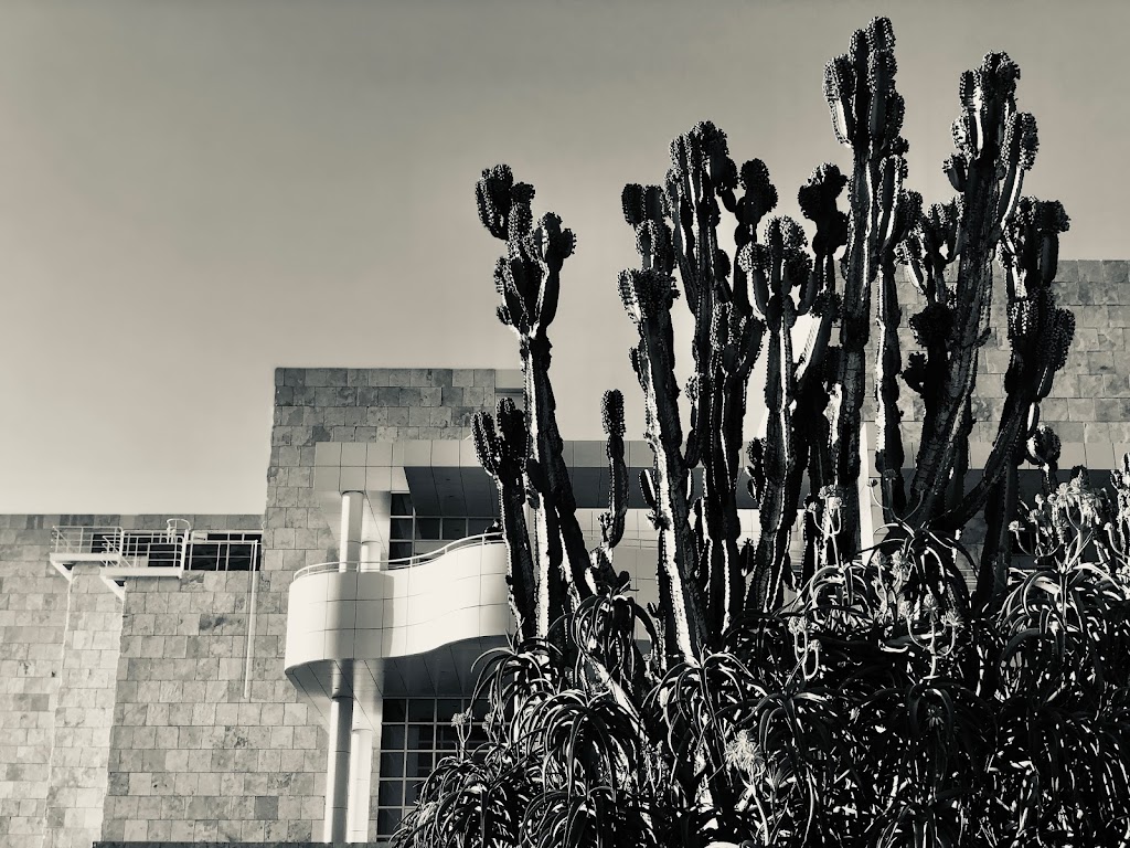 Cactus Garden | The Getty Center, 1200 Getty Center Dr, Los Angeles, CA 90049, USA | Phone: (310) 440-7300