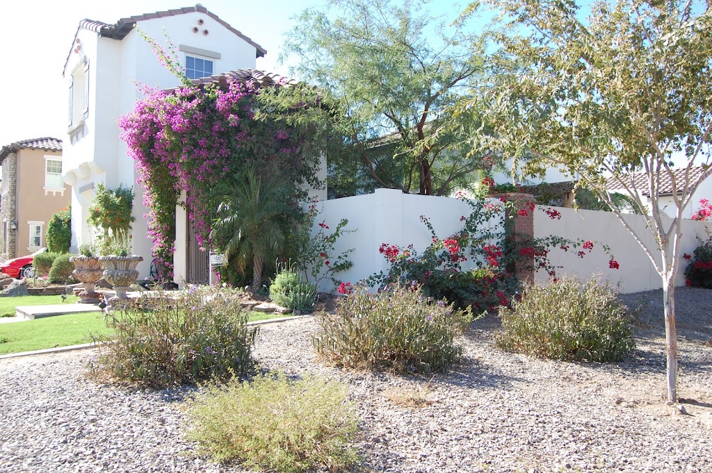 Pioneer Landscape Centers | 6101 S Mann Ave, Tucson, AZ 85756 | Phone: (520) 664-0200
