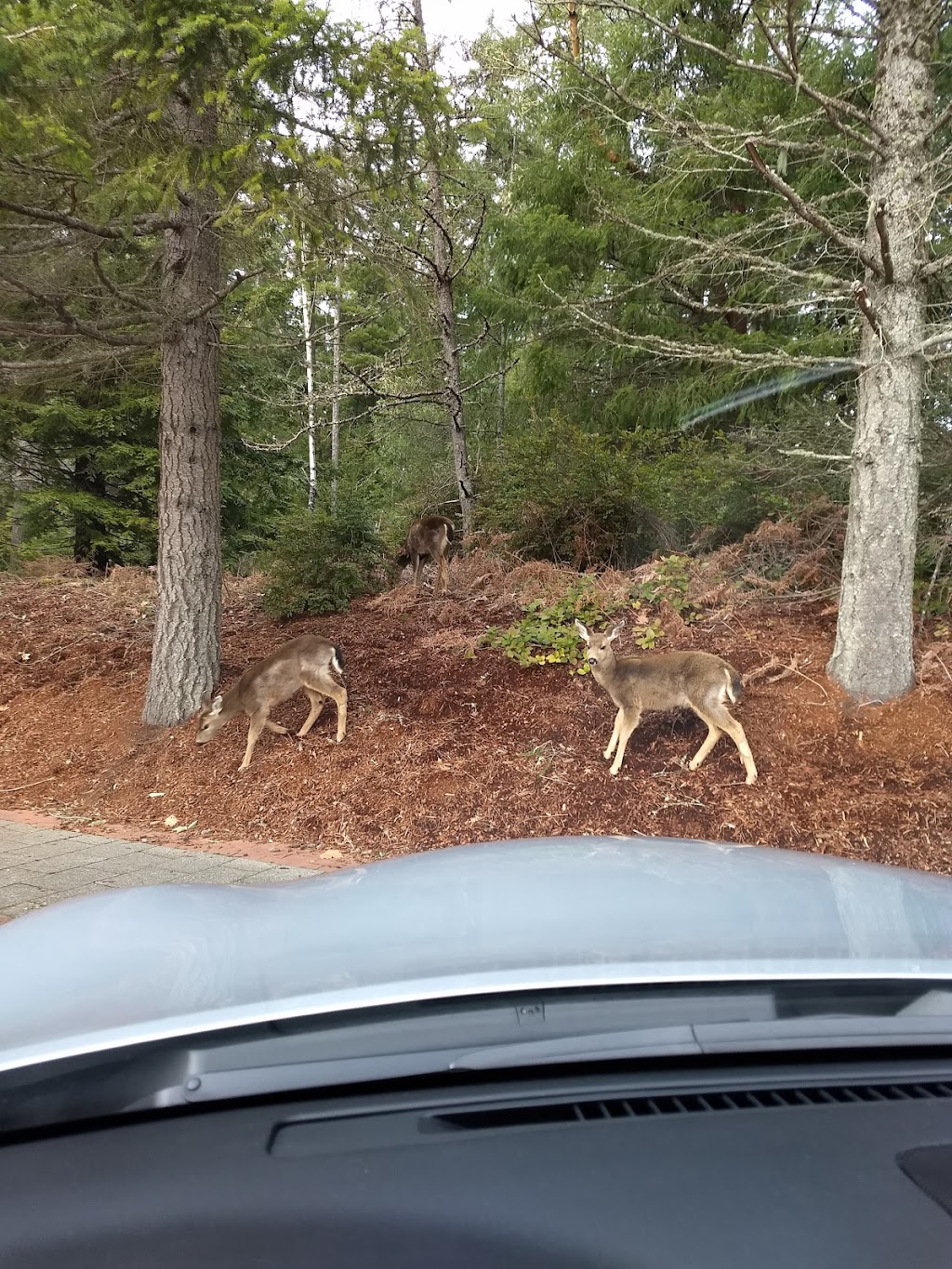 Navy Gateway Inns & Suites | 2750 Sargo Cir, Silverdale, WA 98315, USA | Phone: (360) 930-6830