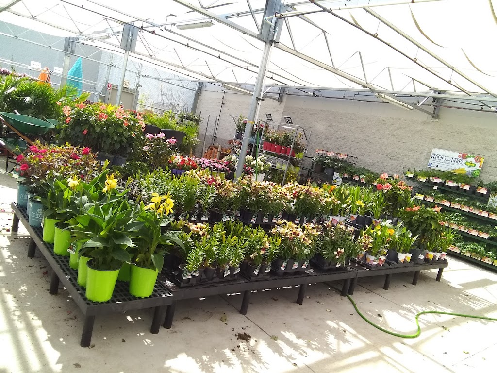 Walmart Garden Center | 701 W Princeton Dr, Princeton, TX 75407, USA | Phone: (972) 736-6491