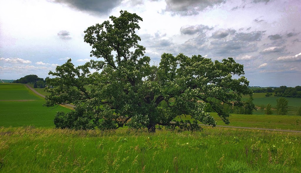 Hauser Road Prairie | 5769 Hauser Rd, Waunakee, WI 53597, USA | Phone: (608) 845-7065