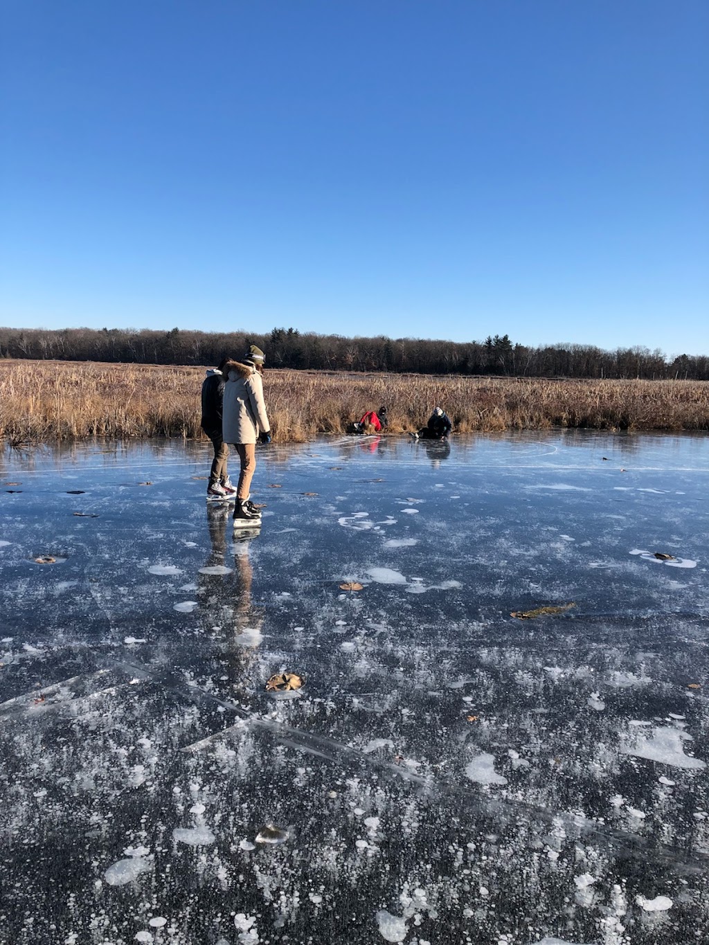 Hook Lake Wildlife Area | 4564 Rutland Dunn Town Line Rd, Oregon, WI 53575, USA | Phone: (888) 936-7463