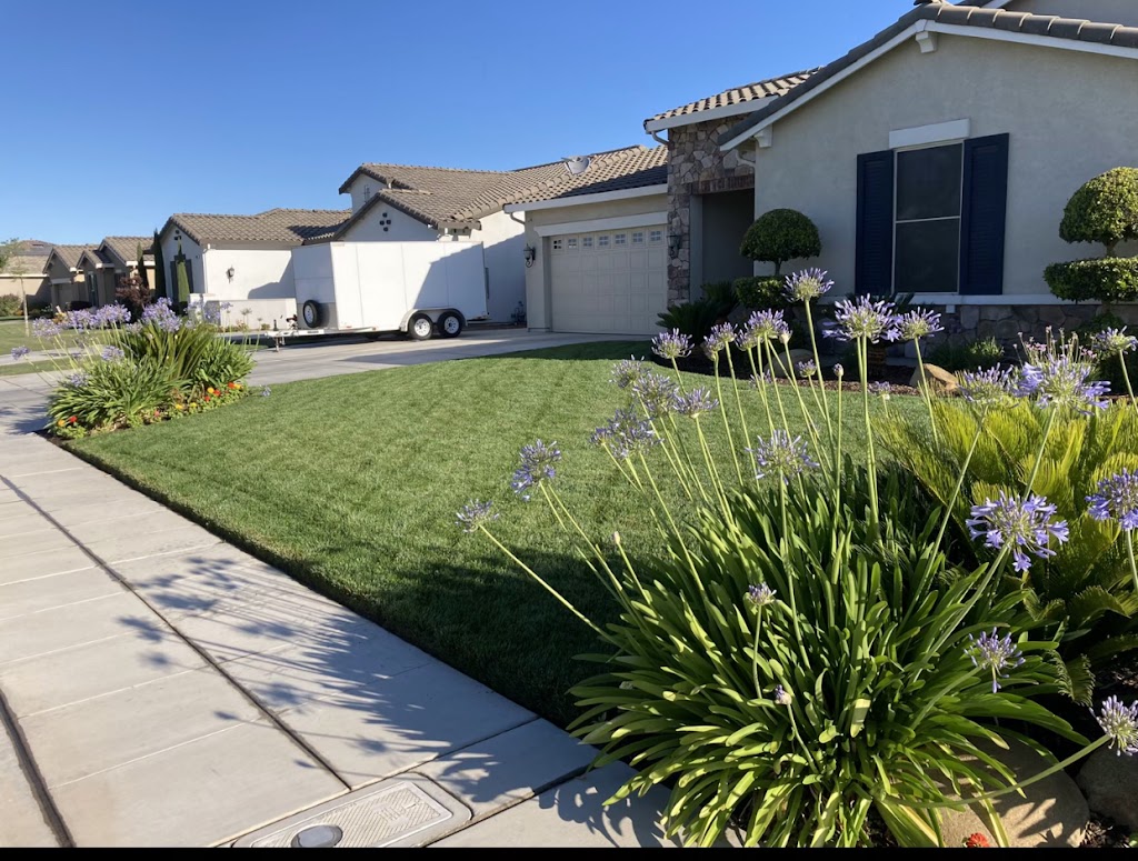 Team Green Pest Control, Lawn Fertilization and Weed Control | 5757 E Clinton Ave #105, Fresno, CA 93727, USA | Phone: (559) 283-8442