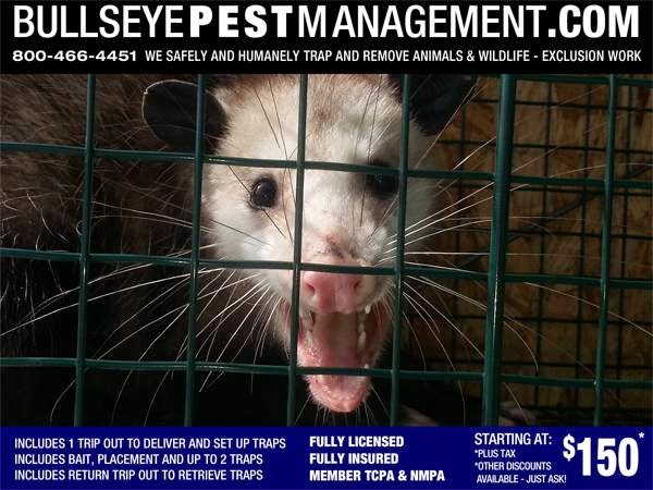 Bullseye Pest Management | 6720 White Tail Ln, Arlington, TX 76002, USA | Phone: (682) 472-4435