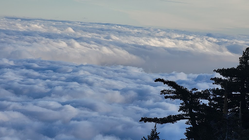 Cucamonga Wilderness | W Cucamonga Truck Trail, Lytle Creek, CA 92358, USA | Phone: (909) 382-2851