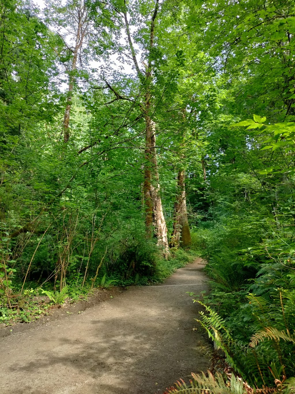 Kopachuck State Park | 10712 56th St NW, Gig Harbor, WA 98335, USA | Phone: (253) 265-3606