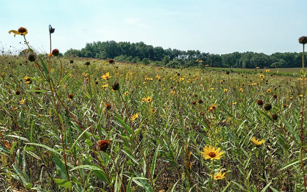 Smith-Reiner Drumlin Prairie State Natural Area | Dane, Cambridge, WI 53523, USA | Phone: (608) 266-2621