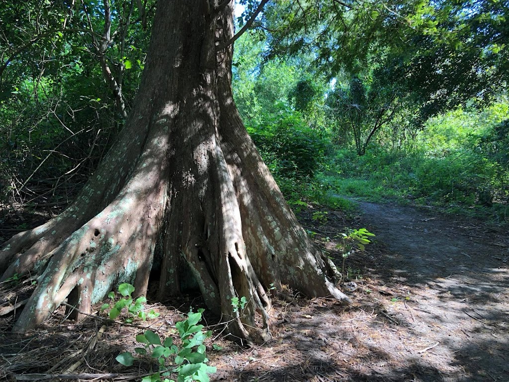 Woodlands Conservancy’s Woodlands Trail | 449 F Edward Hebert Blvd, Belle Chasse, LA 70037, USA | Phone: (504) 433-4000