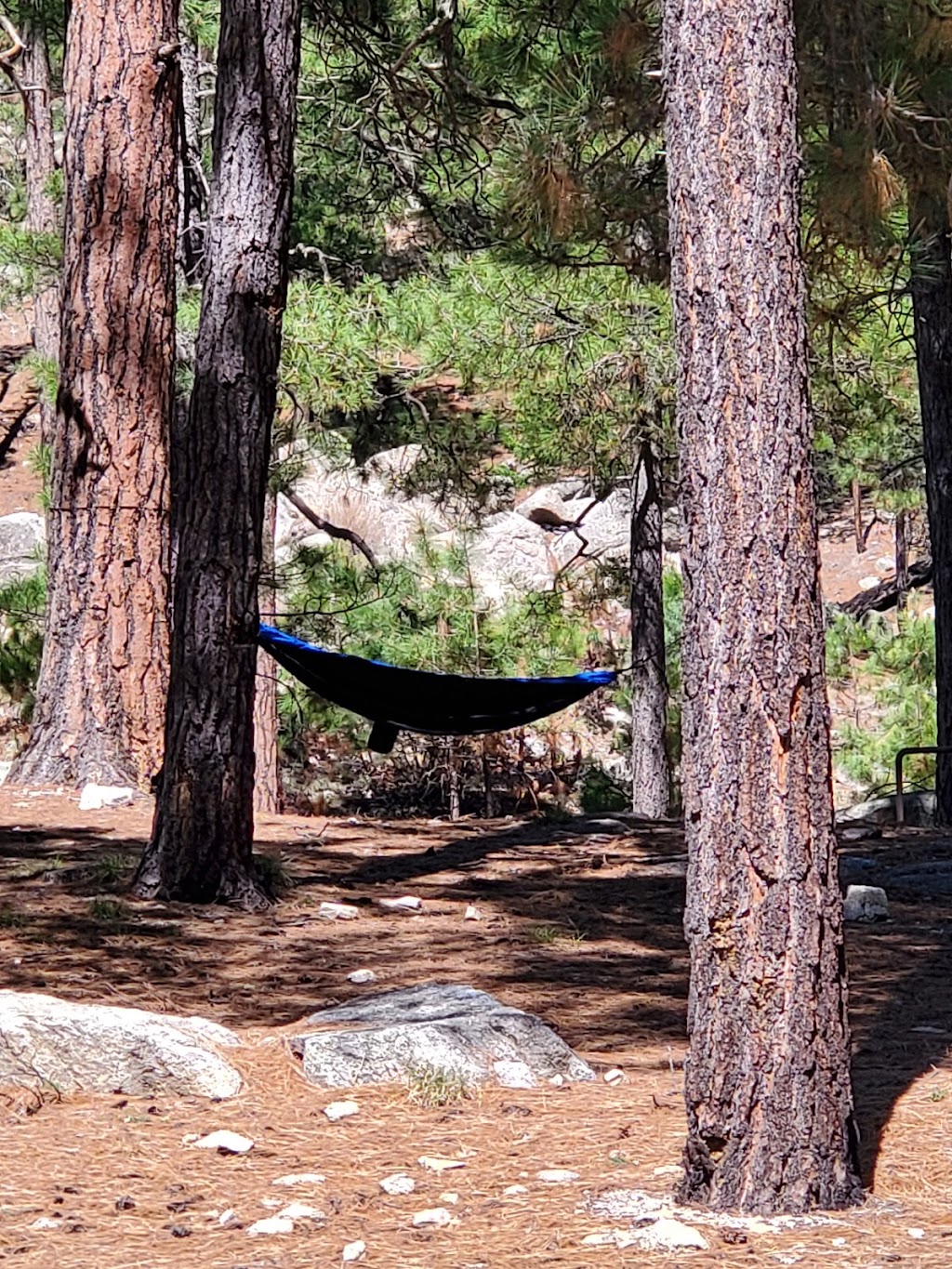 Whitetail Campground | 11200 E Whitetail Rd, Mt Lemmon, AZ 85619, USA | Phone: (520) 576-9198