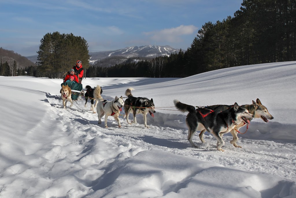 Mont-Tremblant Dogsledding -Traîneau à Chiens Tremblant | 121 Chem. de lAlbatros, Mont-Tremblant, QC J8E 1S1, Canada | Phone: (819) 681-5519