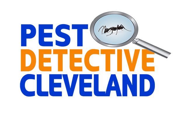 The Pest Detective | 154 E Aurora Rd, Northfield, OH 44067, United States | Phone: (216) 758-0603