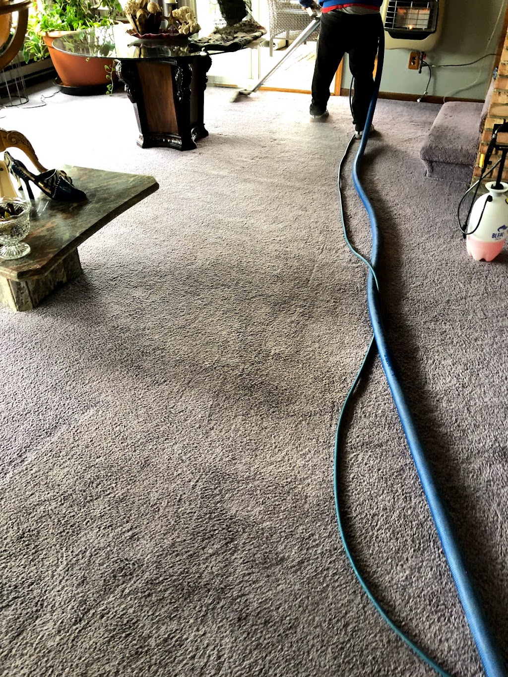 Selective Carpet Cleaning | 34424 Hazelwood St, Westland, MI 48186, USA | Phone: (734) 453-8007