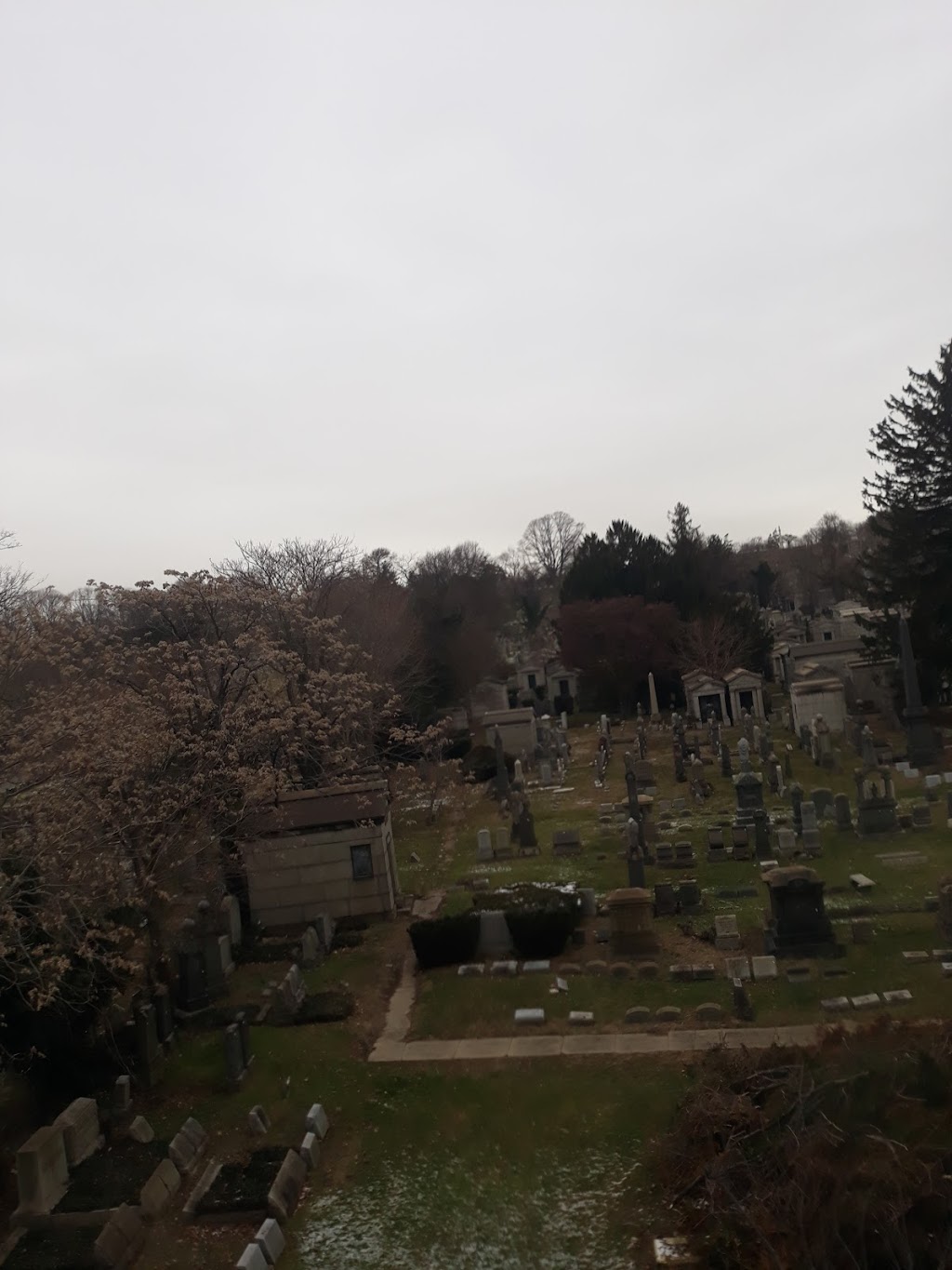 Maimonides Cemetery | 895 Jamaica Ave, Brooklyn, NY 11208, USA | Phone: (516) 775-6222