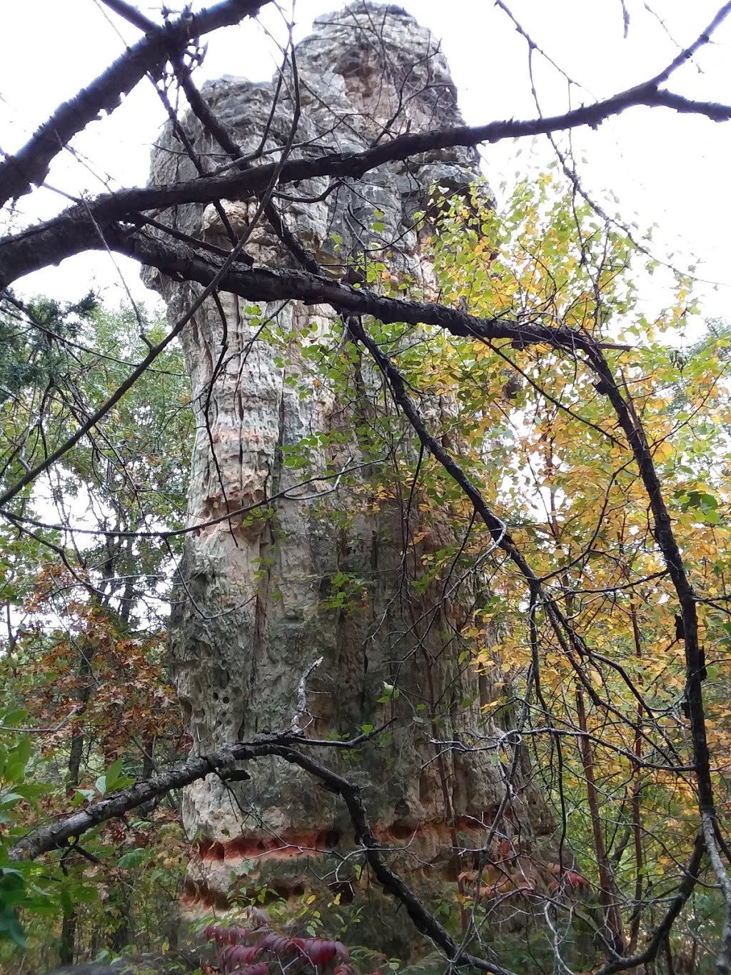 Chimney Rock Scientific and Natural Area (SNA) | Joan Ave, Hastings, MN 55033, USA | Phone: (651) 259-5800