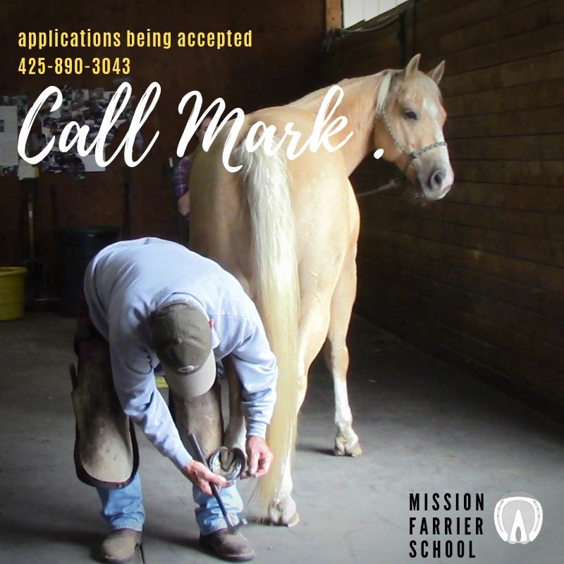 Mission Farrier School | 17028 Trombley Rd, Snohomish, WA 98290 | Phone: (425) 890-3043