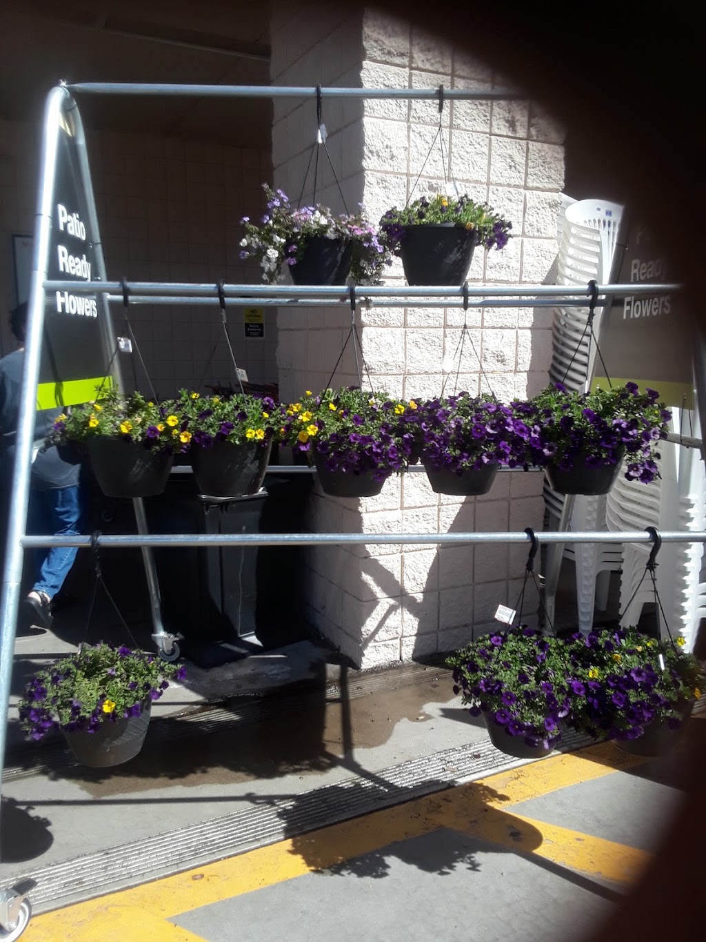 Garden Center at The Home Depot | 3400 W Florida Ave, Hemet, CA 92545, USA | Phone: (951) 929-9742