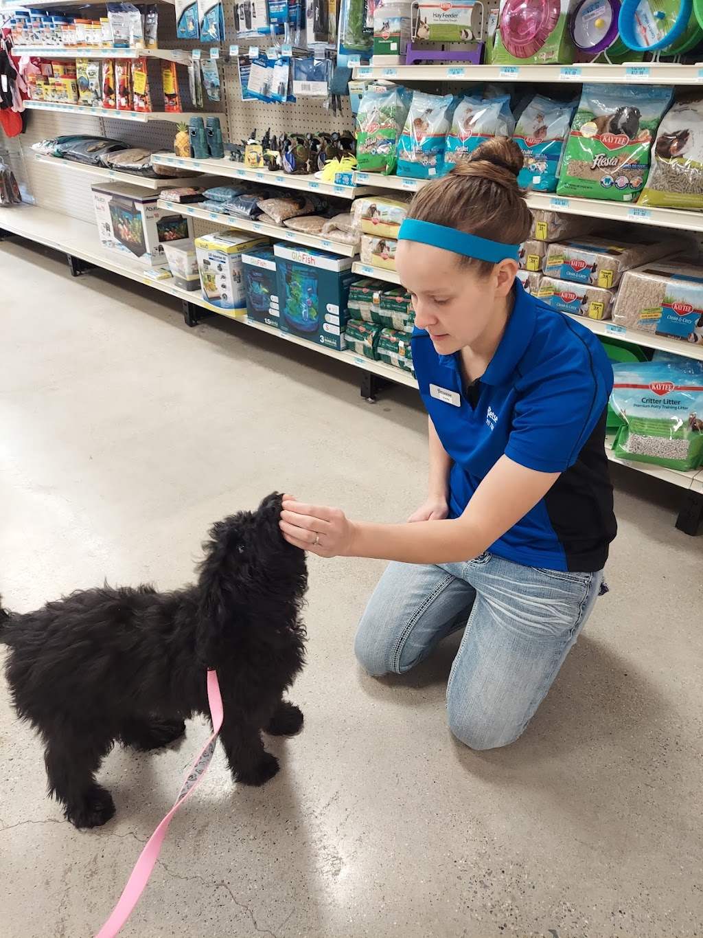 Petsense by Tractor Supply | 248 Skywatch Dr, Danville, KY 40422, USA | Phone: (859) 209-4293