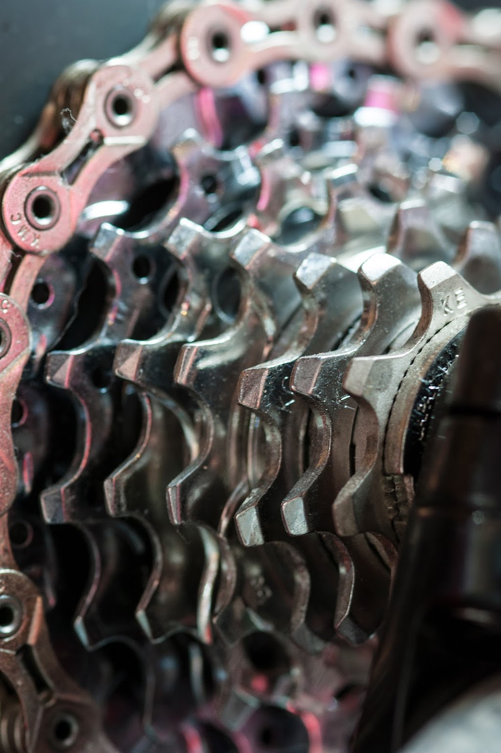 Bear Valley Bikes | 40298 Big Bear Blvd, Big Bear Lake, CA 92315, USA | Phone: (909) 866-8000