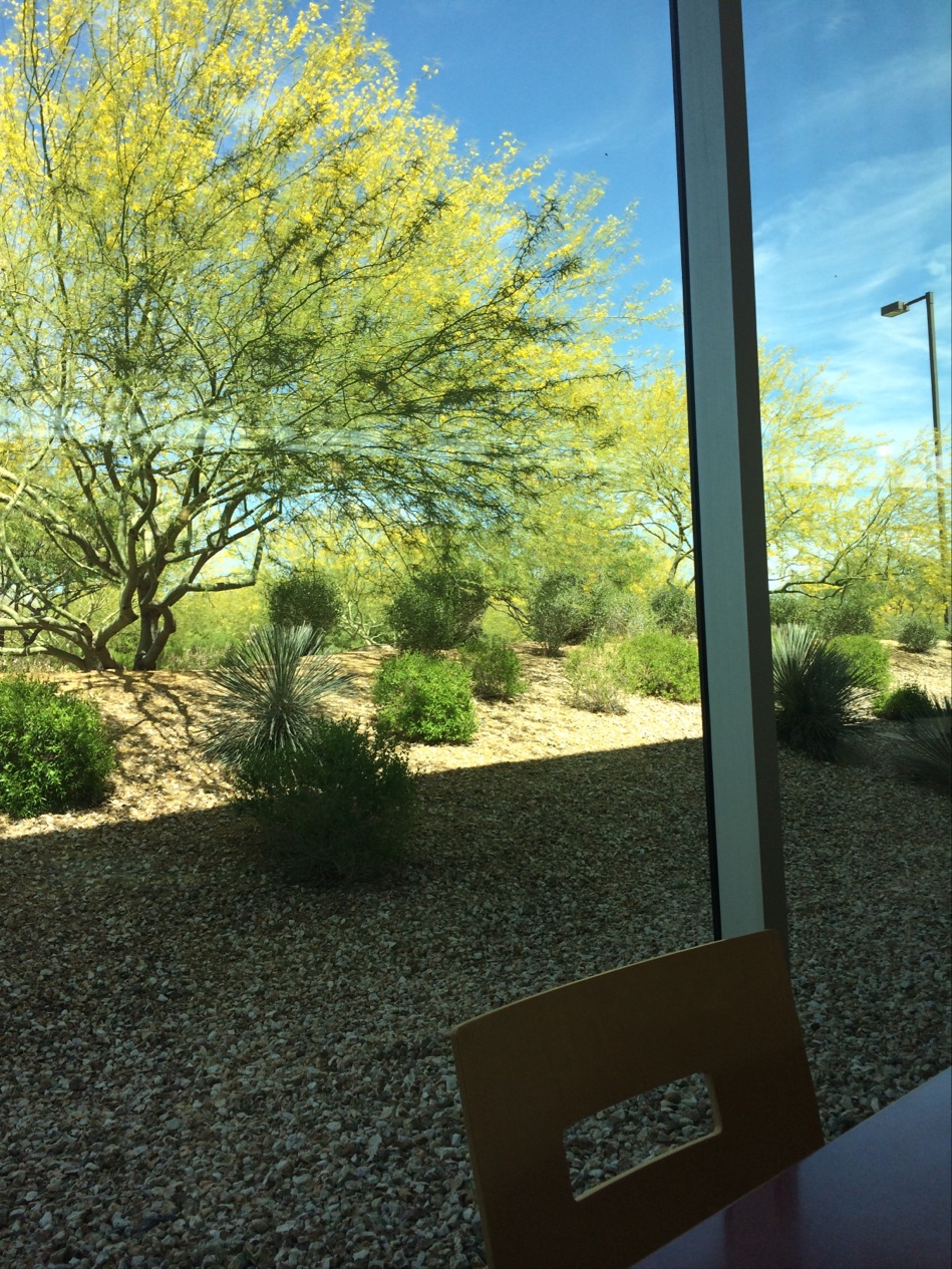 Appaloosa Library | 7377 E Silverstone Dr, Scottsdale, AZ 85255, USA | Phone: (480) 312-7323 Appaloosa Library | 7377 E Silverstone Dr, Scottsdale, AZ 85255, USA | Phone: (480) 312-7323