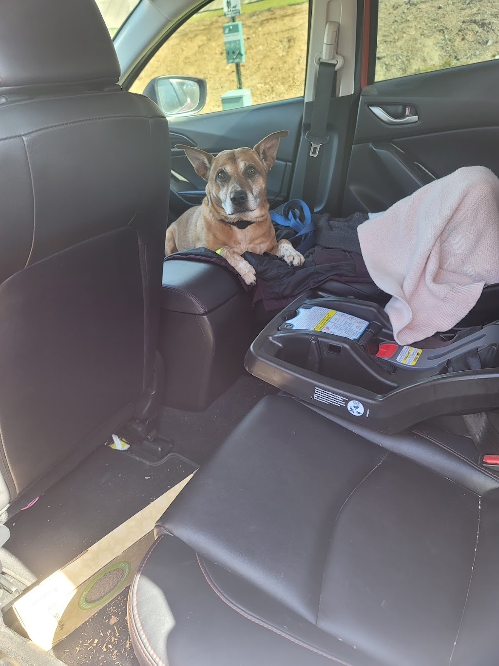 Pleasant Valley Pet Clinic | 4561 Pleasant Valley Rd, Placerville, CA 95667, USA | Phone: (530) 644-2424