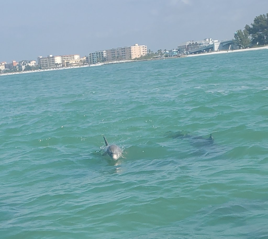 Fly-N-High Waverunners | 207 Boardwalk Pl E, Madeira Beach, FL 33708, USA | Phone: (727) 397-1050