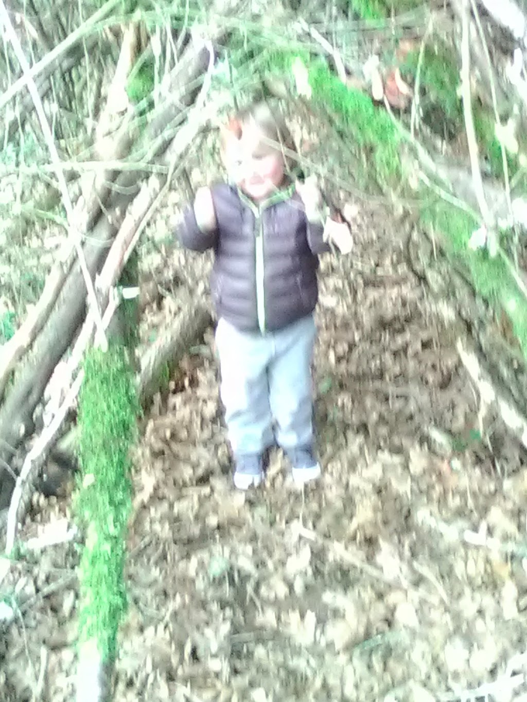 Piccadilly Park | Costa Cir W, Wilsonville, OR 97070, USA | Phone: (503) 783-7529