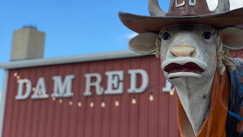 Dam Red Barn | 16520 S Access Rd, Canyon Lake, TX 78133, USA | Phone: (830) 964-3276