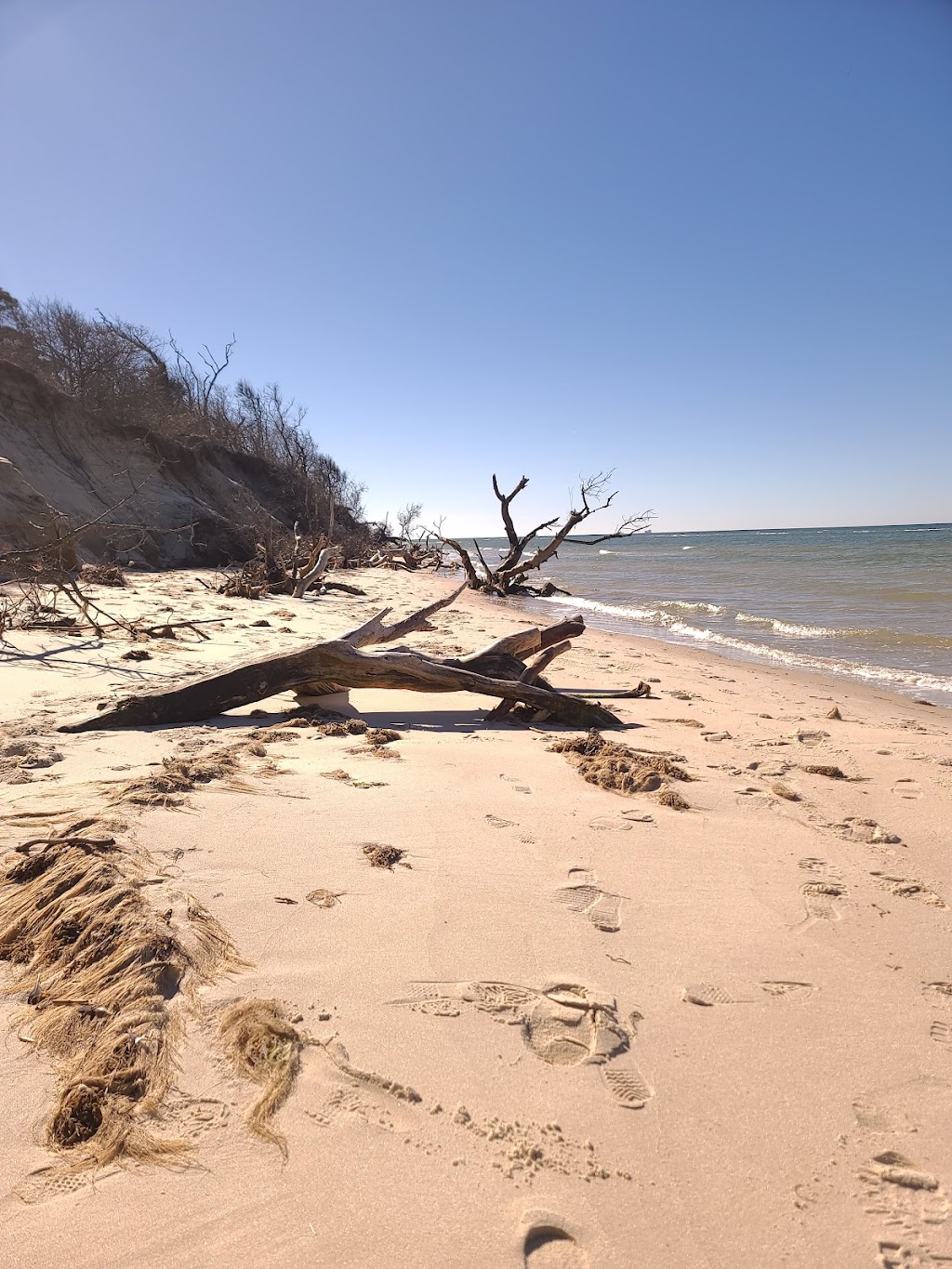 Savage Neck Dunes Natural Area Preserve | Cape Charles, VA 23310, USA | Phone: (757) 710-3428